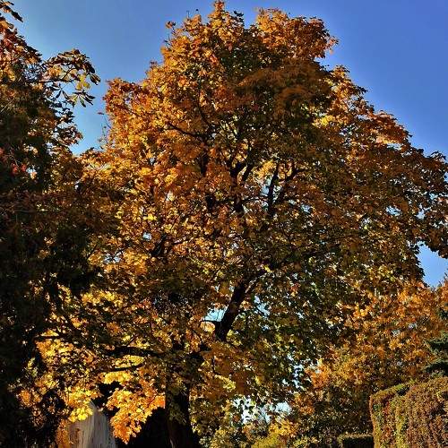 Photo #6646085