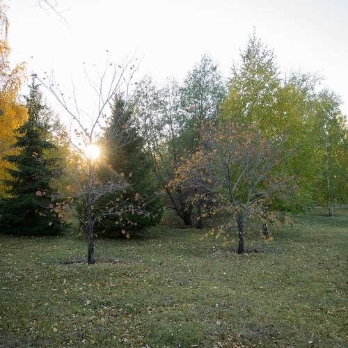 Краски осени