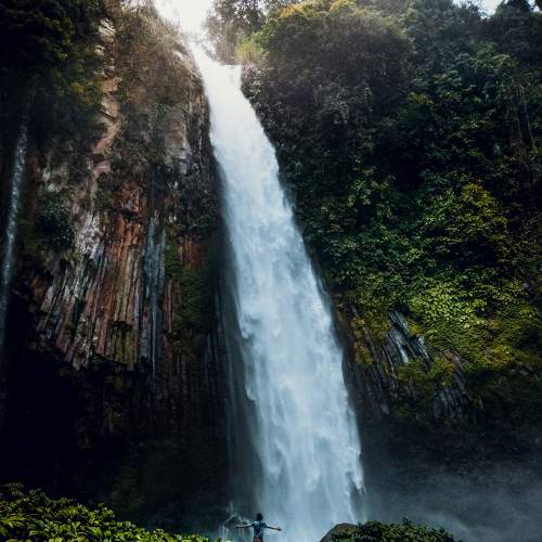 Photo #6646232