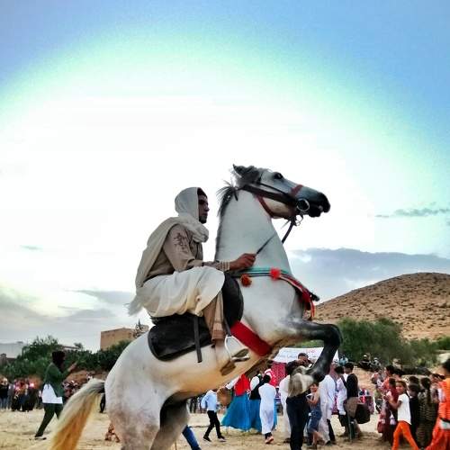 Photo #6646412