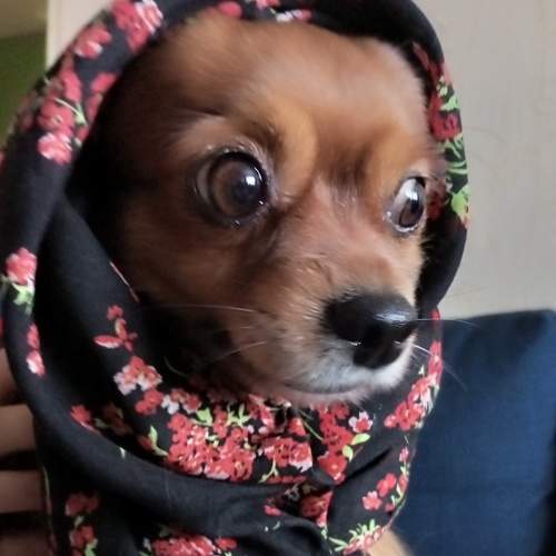 Photo #6646425