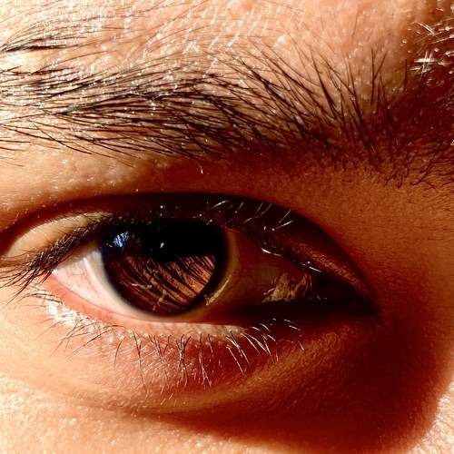 Photo #6646543