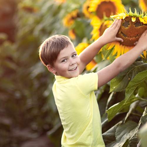 Photo #6646547