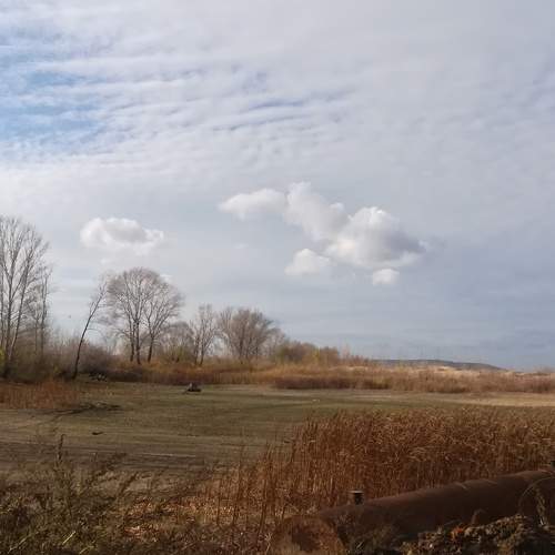 Photo #6646613