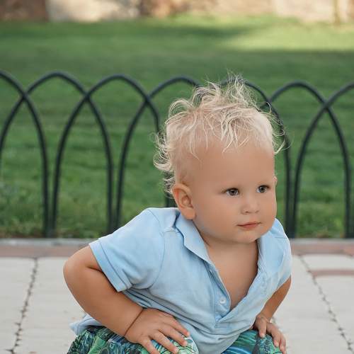 Photo #6646770