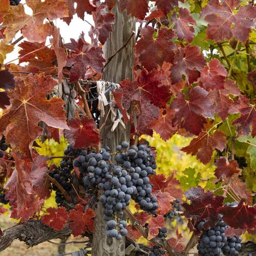 Photo #6646821