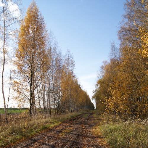 Photo #6647360