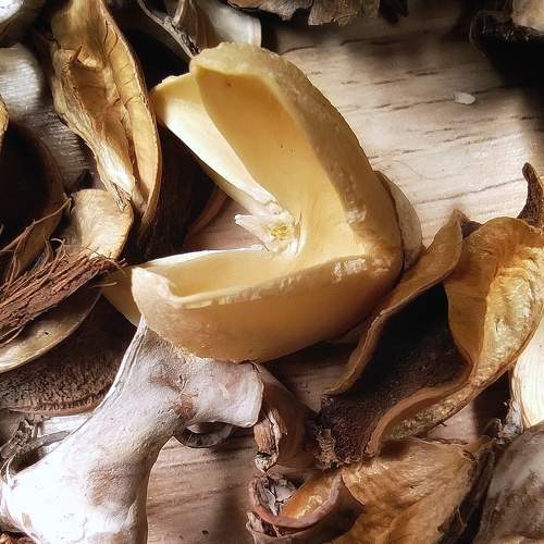 Photo #6647389