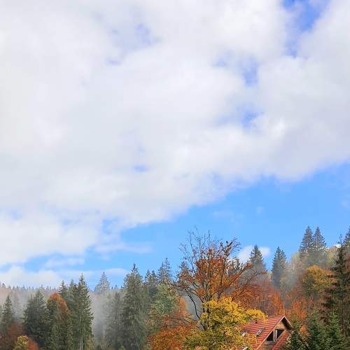 Photo #6647461
