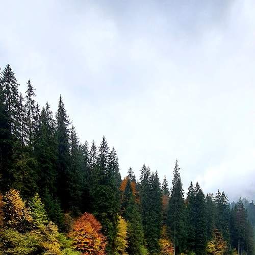 Photo #6647462