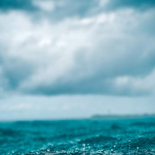 Photo #6647469