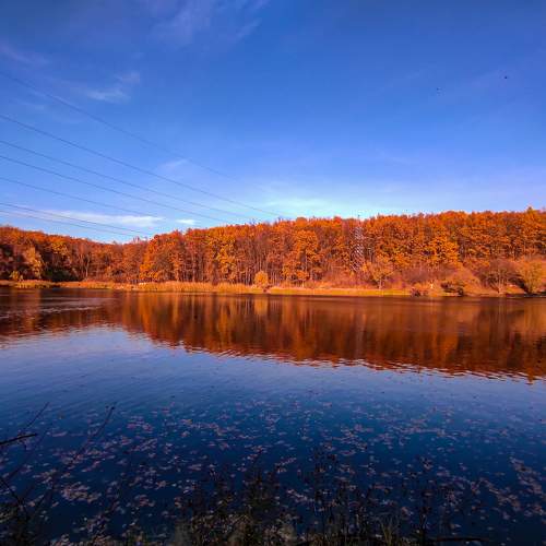 Photo #6647693