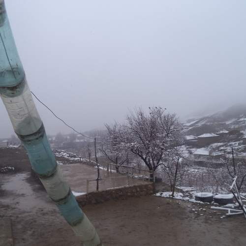 Photo #6647898