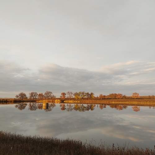 Photo #6648021