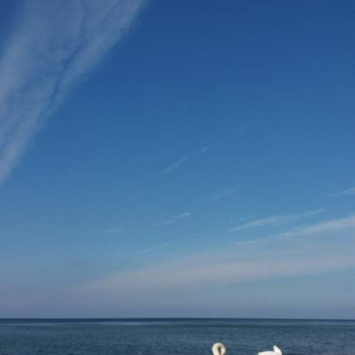 Photo #6648058