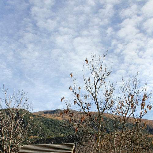 Photo #6648158