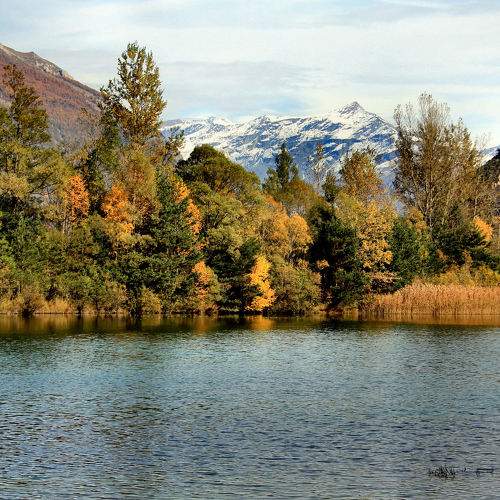 Photo #6648197