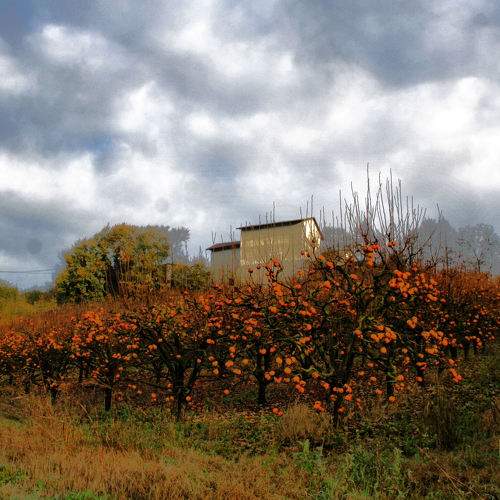 Photo #6648202