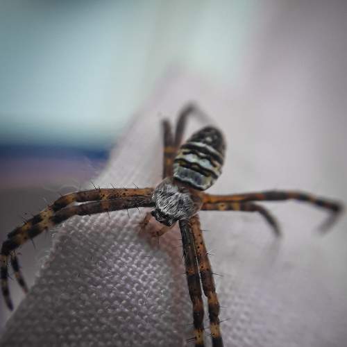 Photo #6648815