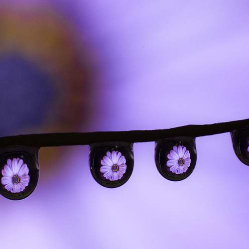 Photo #6648901