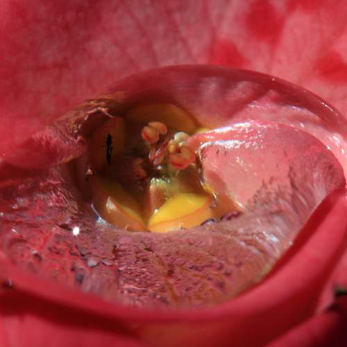 Photo #6649242