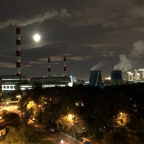 Photo #6649258