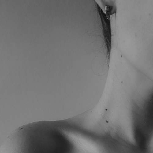 Photo #6649446