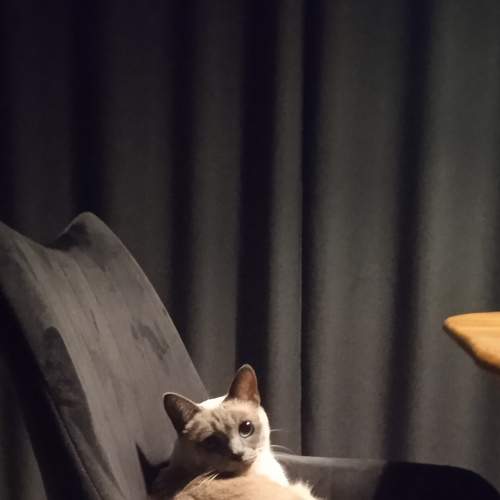 Photo #6649460