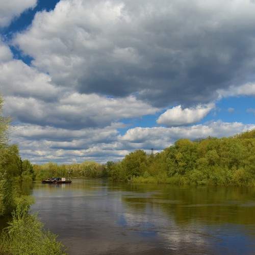 Photo #6649687