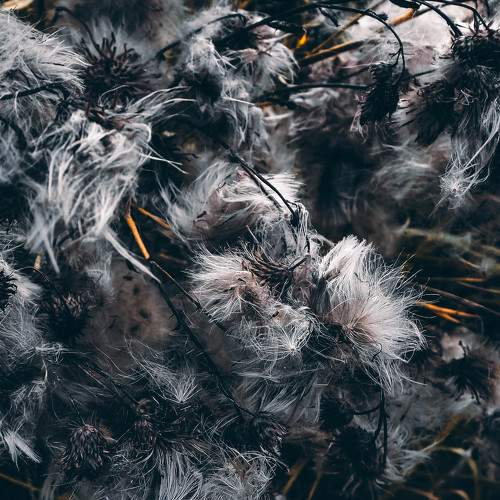 Photo #6649689