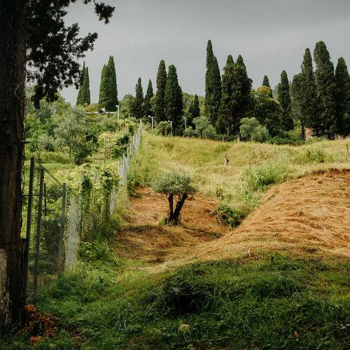 Photo #6649729