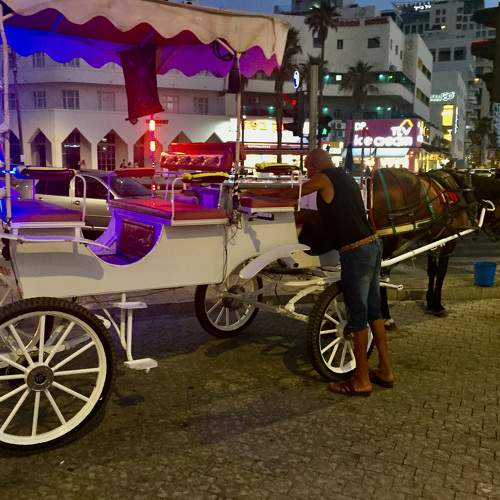 Photo #6649996
