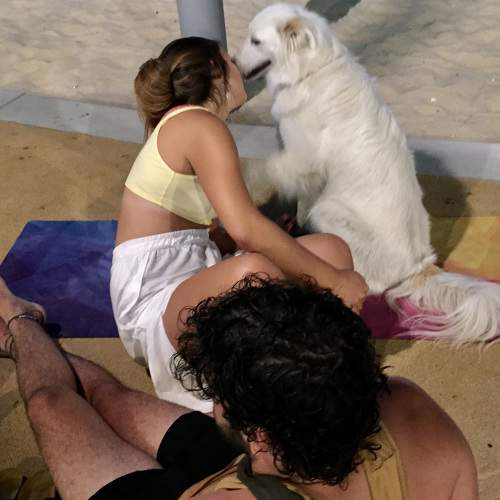 Photo #6650003