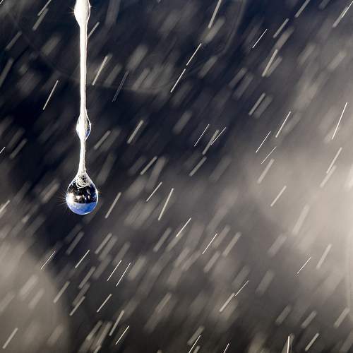 Photo #6650311