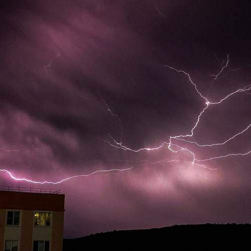 Photo #6650513