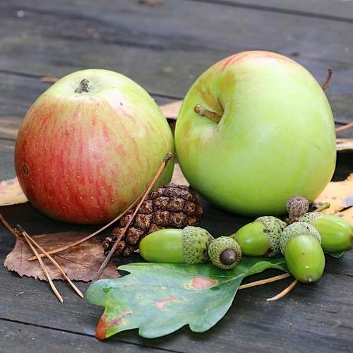 Photo #6650659