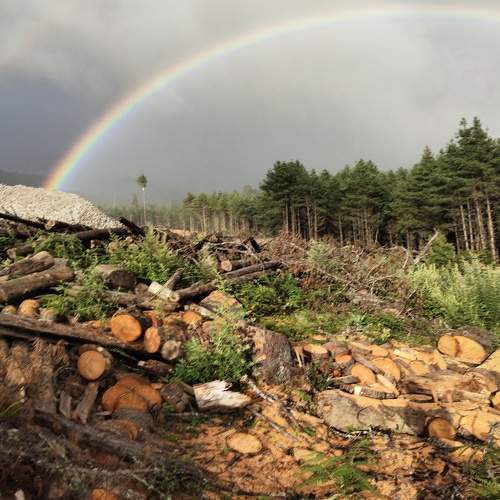 Photo #6650681