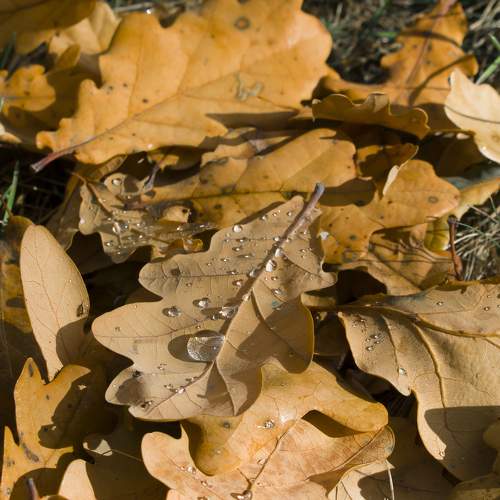 Photo #6651312
