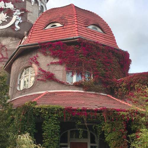 Photo #6651485