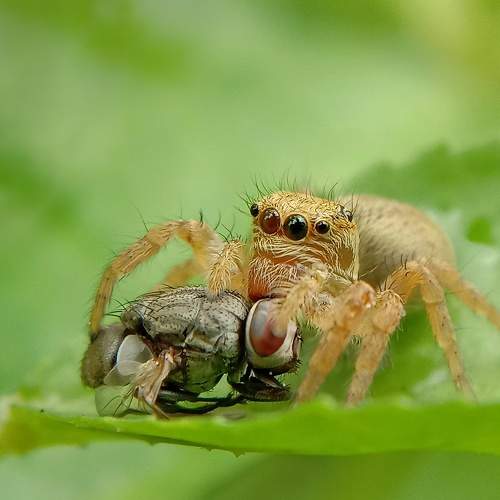 Photo #6651569