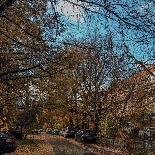 Photo #6652414
