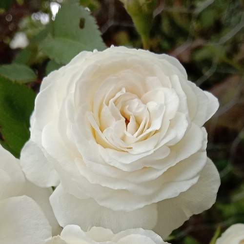 Photo #6652632