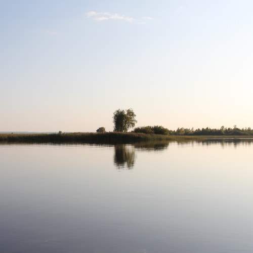 Photo #6652785
