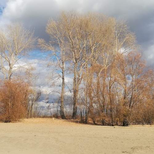 Photo #6652795