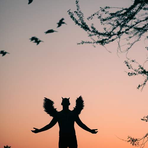 Photo #6652815