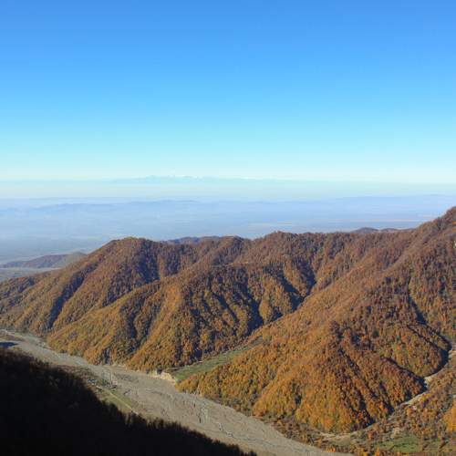 Photo #6652866