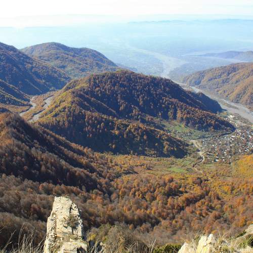 Photo #6652871