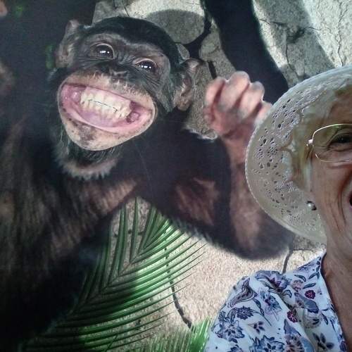 Photo #6652899