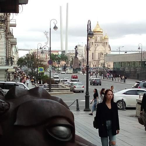Photo #6652902