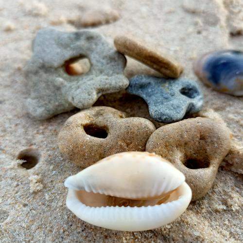 Photo #6652976